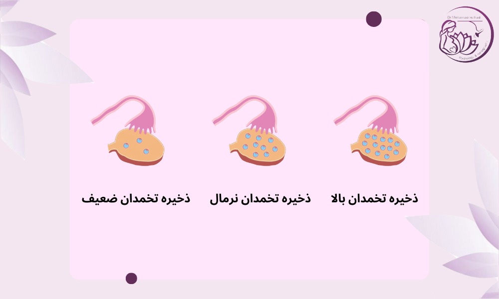ذخیره تخمدان چیست؟