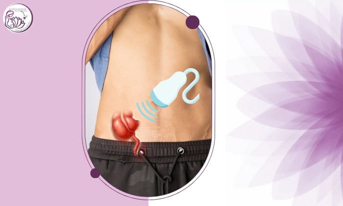 آیا سونوگرافی می‌تواند التهاب آپاندیس را نشان دهد؟