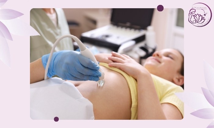 اندام‌های قابل بررسی در سونوی شکم و لگن