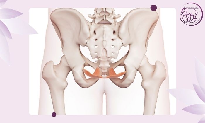 نکات مهم بعد از تصویربرداری لگن